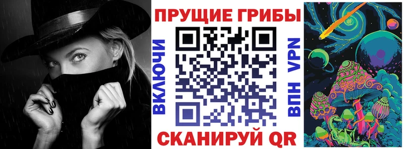Псилоцибиновые грибы Cubensis  Зерноград 